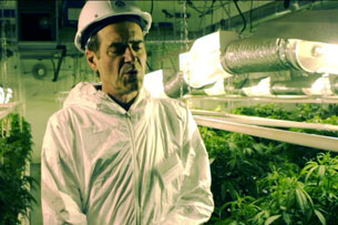 DRUGONOMICS II: THE LEGAL GROW OP